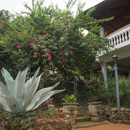 Hotel M&M Casa Blanca Playa Ocotal Екстериор снимка